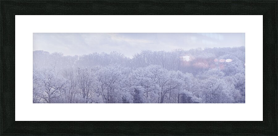 Frosty forest Picture Frame print