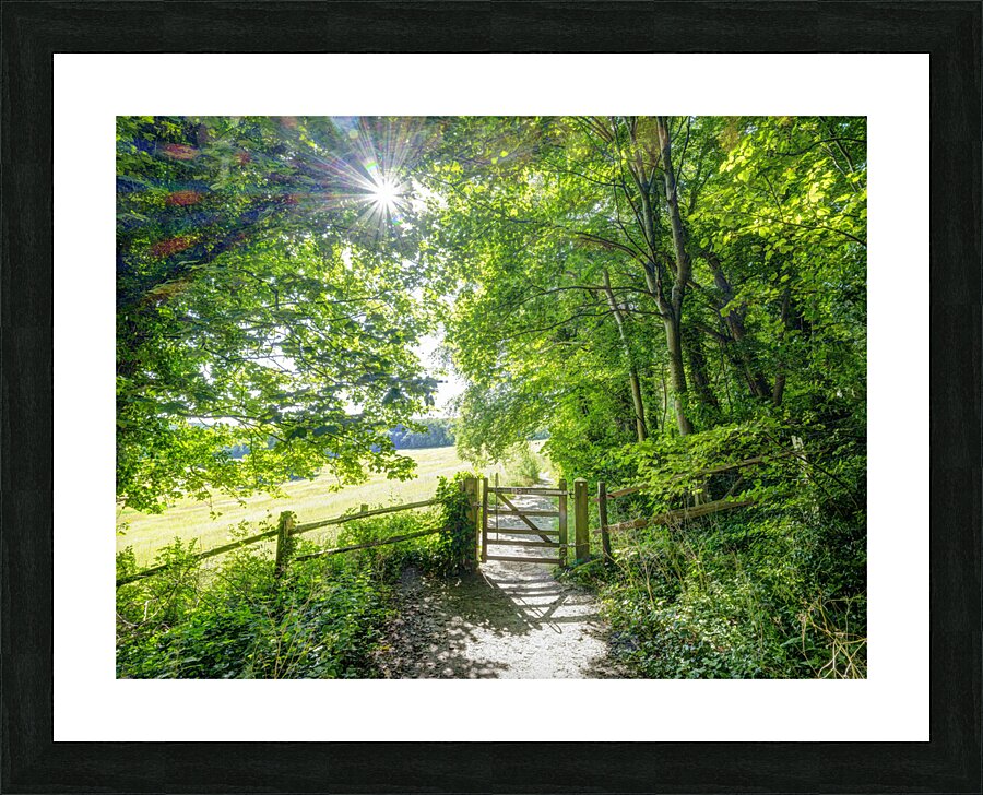 Forest Gate Picture Frame print