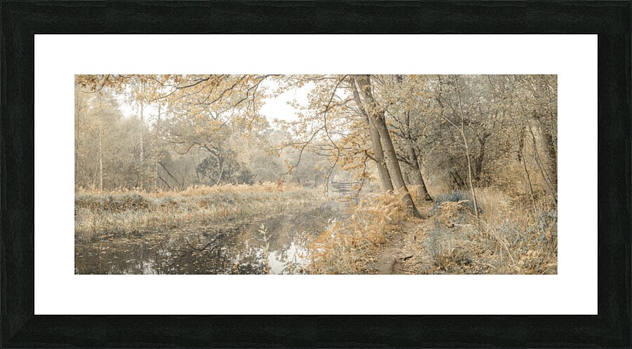 Misty Canal Picture Frame print