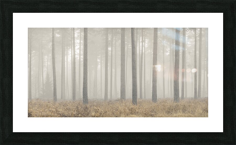 Enigmatic Elegance Picture Frame print
