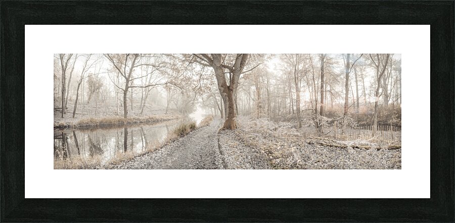Misty Forest Picture Frame print