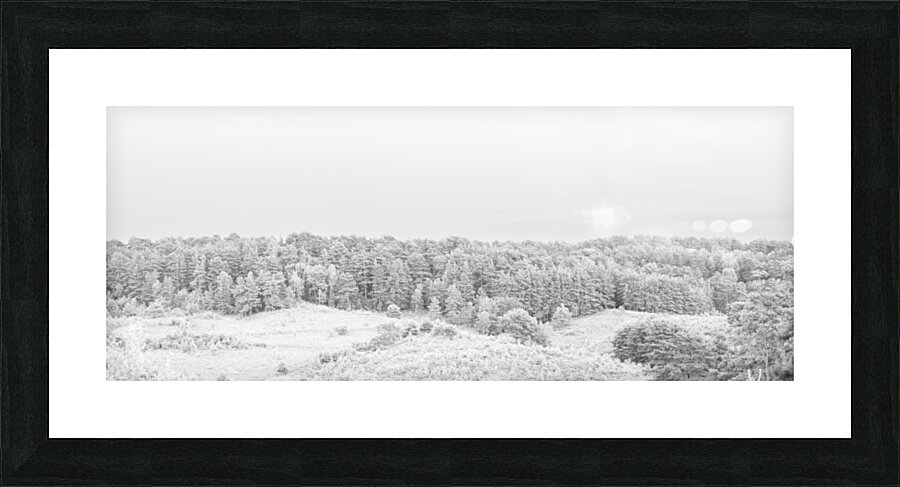 Panoramic winter forest Picture Frame print