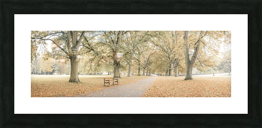 Pathway through autumn park Picture Frame print