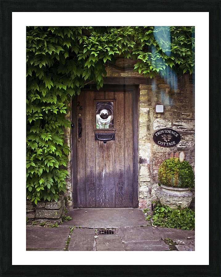 Old Door Picture Frame print