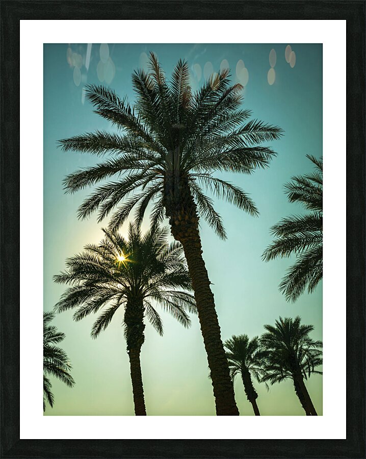 Tall Palms Picture Frame print