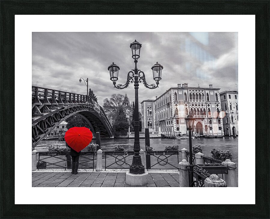 Accademia Bridge Venice Picture Frame print