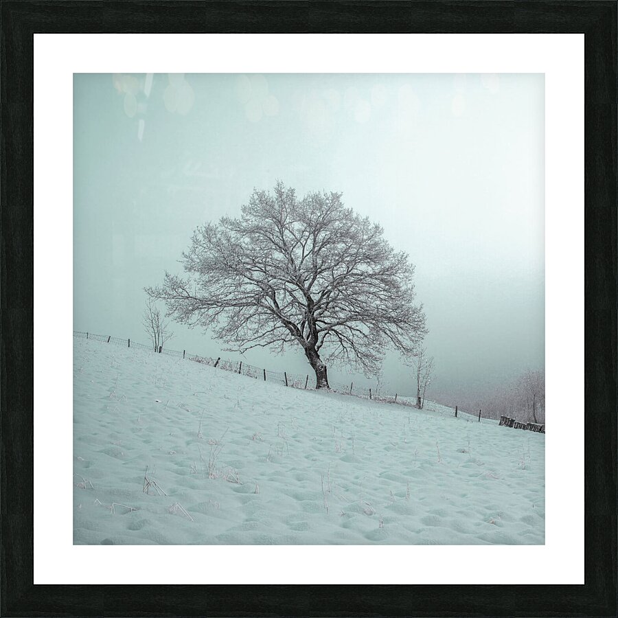Winter Solitude Picture Frame print
