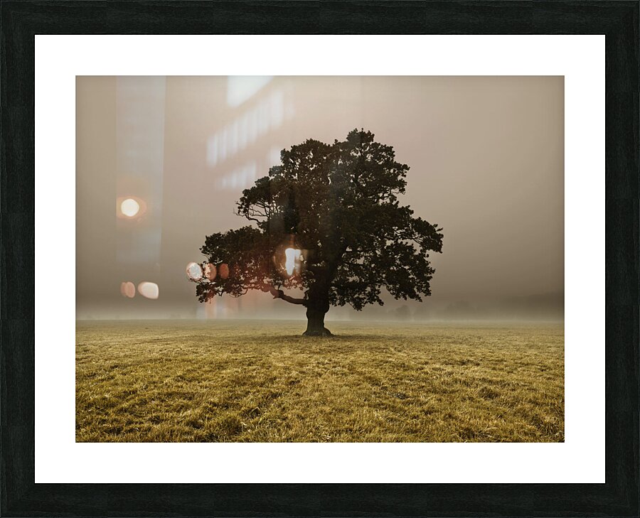 Single Tree Picture Frame print