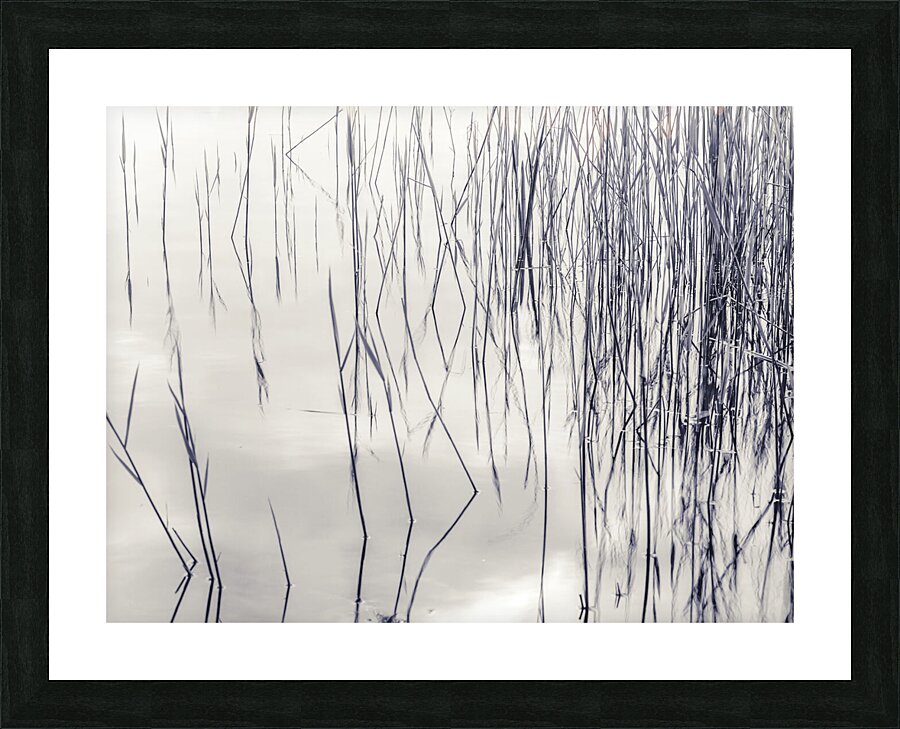 Lake Reflections Picture Frame print