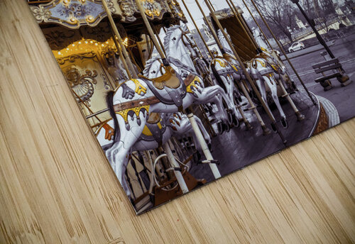 Carousel Dreams Assaf Frank puzzle