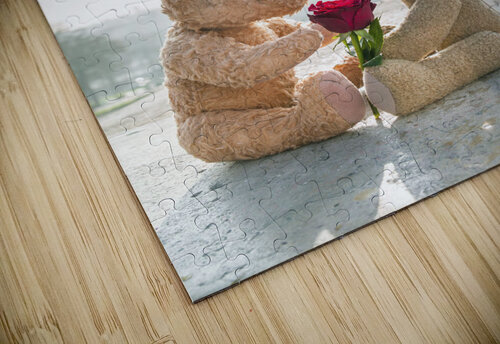 Romantic Paris Assaf Frank puzzle