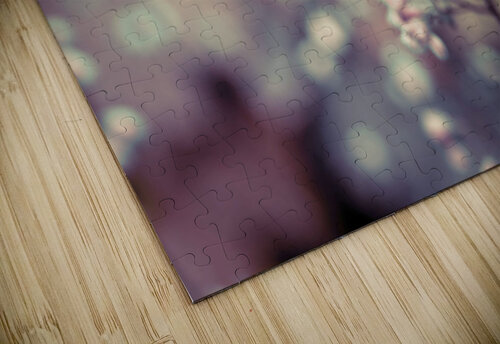 Heuchera Blossom Assaf Frank puzzle
