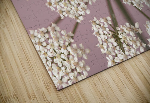 Wildflower Whispers Assaf Frank puzzle