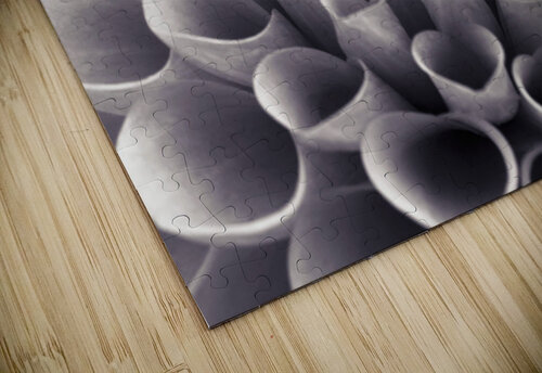 Dahlia Flower Assaf Frank puzzle