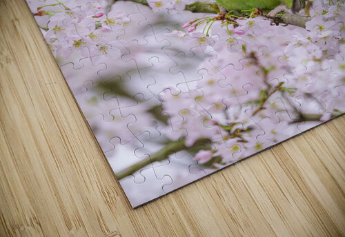 Blossom Bird Assaf Frank puzzle
