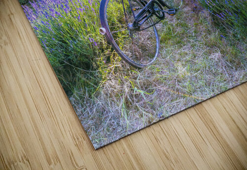Perception Assaf Frank puzzle