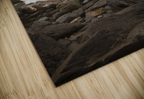 Duckpool Beach Assaf Frank puzzle