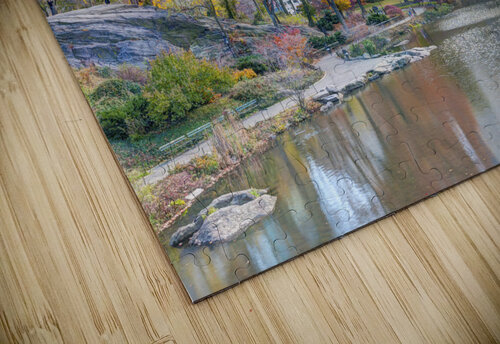 Pond at Central Park Assaf Frank puzzle