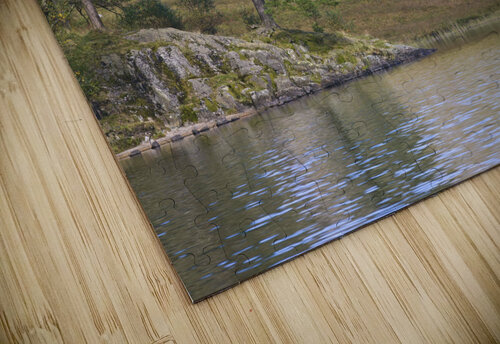Trees by Lake Assaf Frank puzzle