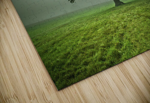 Ethereal Presence Assaf Frank puzzle