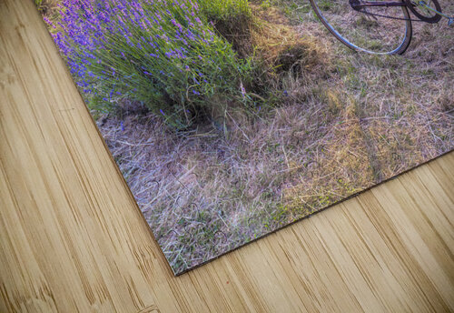Bicycle in a Lavender field Assaf Frank puzzle