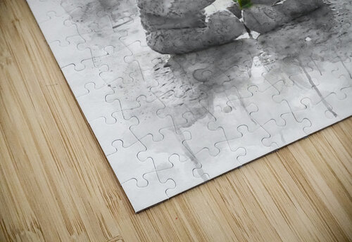 Love in Paris Assaf Frank puzzle