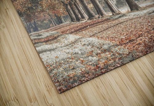 Fall Splendor Assaf Frank puzzle