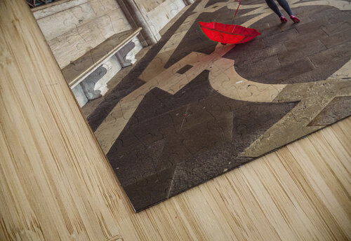 Doges Palace Assaf Frank puzzle