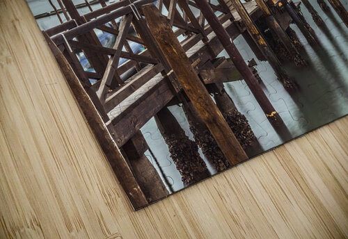 Venetian lagoon Assaf Frank puzzle