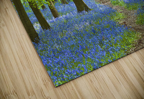 Azure Pathway Assaf Frank puzzle
