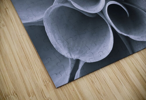 Petal Symphony Assaf Frank puzzle