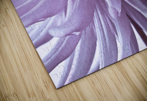 Spiky Petals Assaf Frank puzzle