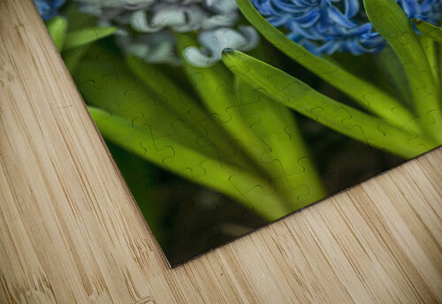 Floral Symphony Assaf Frank puzzle