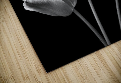 Fresh Blooms Assaf Frank puzzle