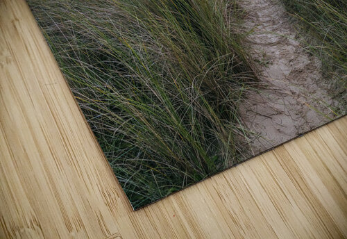 Tranquil beach Assaf Frank puzzle