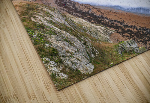 Jurassic Coast Assaf Frank puzzle