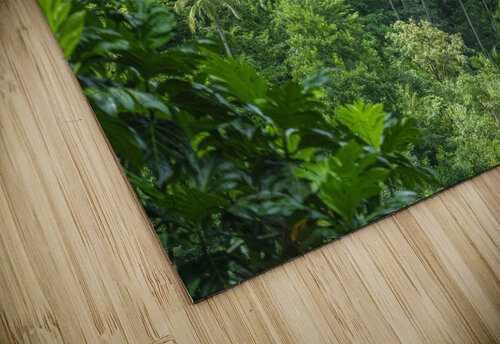 Evergreen Forest Assaf Frank puzzle