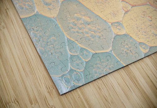 Bubbles Spectrum Assaf Frank puzzle
