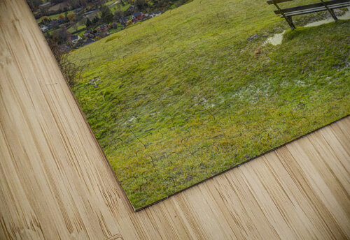 Reigate Hill Assaf Frank puzzle