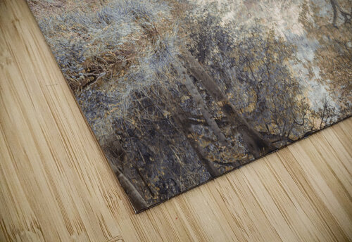 Whispering Waters Assaf Frank puzzle