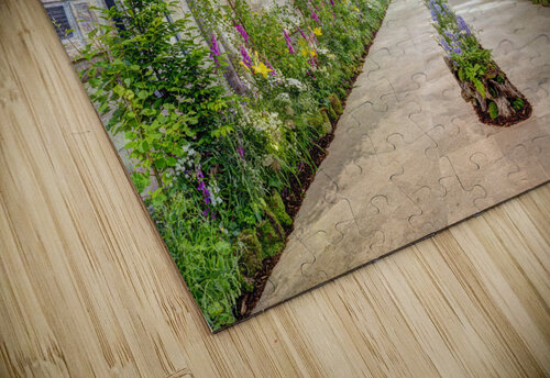Chichester Cathedral Assaf Frank puzzle