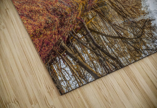 Peaceful Canal  Assaf Frank puzzle