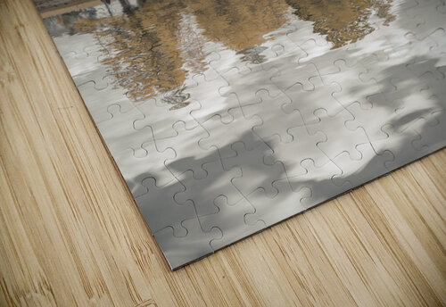 Lakeside Trees Assaf Frank puzzle