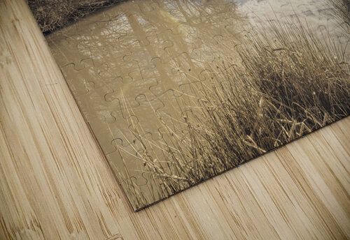Pond Sunrise Assaf Frank puzzle