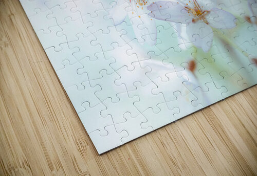 Springtime Blossoms Assaf Frank puzzle