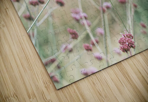 Soft Pink Field Bliss Assaf Frank puzzle