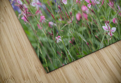 Floral Symphony Elegance Assaf Frank puzzle