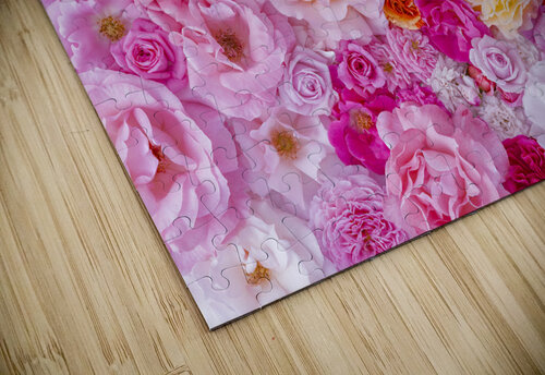 Roses Galore Assaf Frank puzzle
