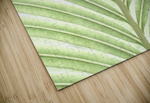 Verdant Leaf Stripes Assaf Frank puzzle