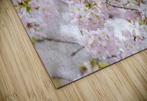Parrot Among Springtime Blossoms Assaf Frank puzzle